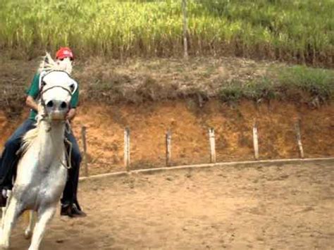 porno cavalgando|'novinha cavalgando' Search .